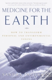 Capa do artigo Medicine For The Earth