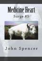 Medicine Heart - Preview