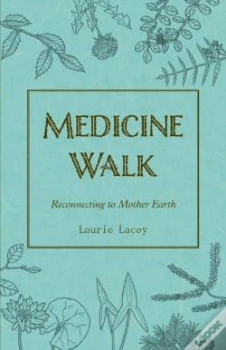 Capa do artigo Medicine Walk