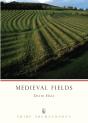 Medieval Fields - Preview