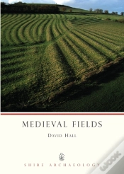 Capa do artigo Medieval Fields