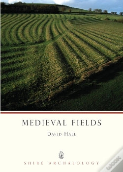 Capa do artigo Medieval Fields