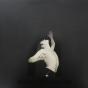Mediolanum Capta Est - CD - Preview