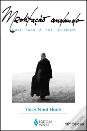 Capa do artigo Meditação Andando