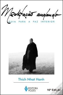 Capa do artigo Meditação Andando