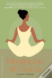 Capa do artigo Meditación Sin Gurús
