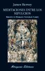 Meditaciones Entre Los Sepulcros - Preview