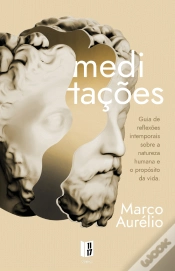 Capa do artigo Meditações