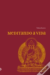 Capa do artigo Meditando A Vida