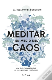 Capa do artigo Meditar En Medio Del Caos