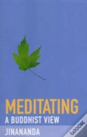 Capa do artigo Meditating
