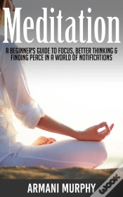 Capa do artigo Meditation