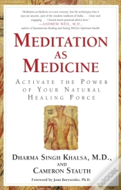 Capa do artigo Meditation As Medicine