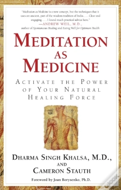 Capa do artigo Meditation As Medicine