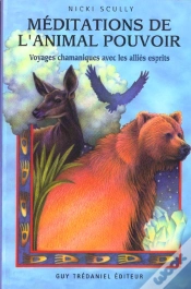 Capa do artigo Meditation De L