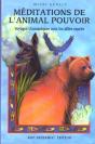 Meditation De L'Animal Pouvoir ; Voyages Chamaniques - Preview