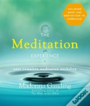 Capa do artigo Meditation Experience