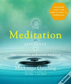 Capa do artigo Meditation Experience
