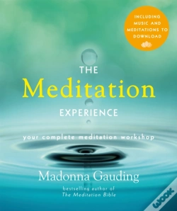 Capa do artigo Meditation Experience