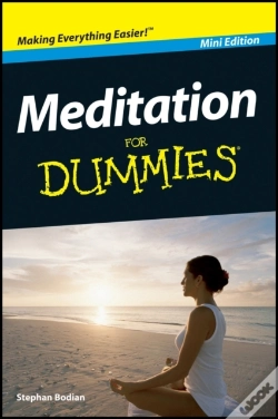 Capa do artigo Meditation For Dummies, Mini Edition