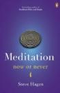 Meditation Now Or Never - Preview