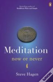 Capa do artigo Meditation Now Or Never