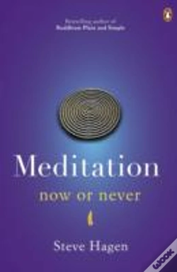 Capa do artigo Meditation Now Or Never