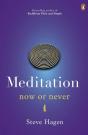 Meditation Now Or Never - Preview