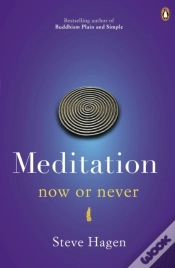Capa do artigo Meditation Now Or Never