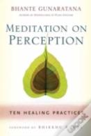 Meditation On Perception