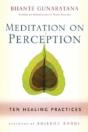 Meditation On Perception - Preview