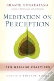 Capa do artigo Meditation On Perception