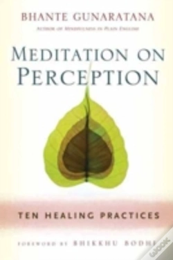 Capa do artigo Meditation On Perception