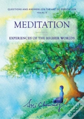 Capa do artigo Meditation
