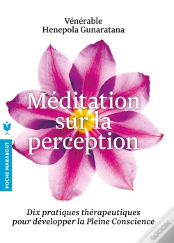 Capa do artigo Meditation Sur La Perception