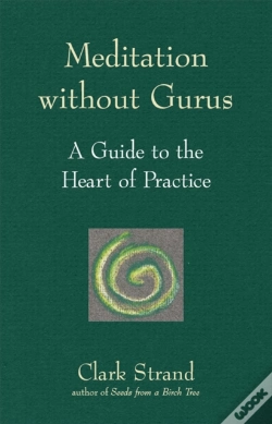 Capa do artigo Meditation Without Gurus