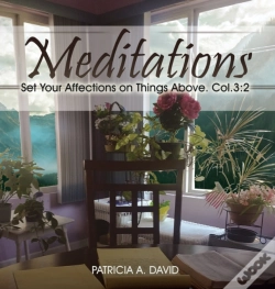 Capa do artigo Meditations