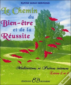 Capa do artigo Méditations Et Prières Intenses