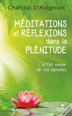 Capa do artigo Meditations Et Reflexions Dans La Plenitude