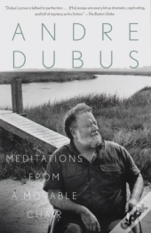 Meditations From A Movable Chair