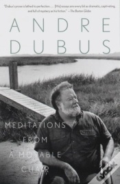 Capa do artigo Meditations From A Movable Chair