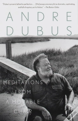 Capa do artigo Meditations From A Movable Chair