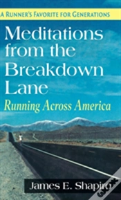 Capa do artigo Meditations From The Breakdown Lane