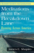 Meditations From The Breakdown Lane