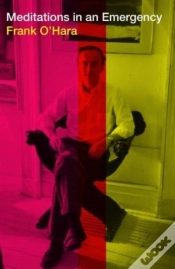 Capa do artigo Meditations In An Emergency