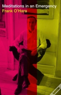 Capa do artigo Meditations In An Emergency