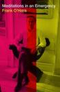 Meditations In An Emergency - Preview