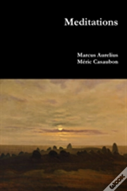 Capa do artigo Meditations
