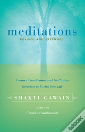 Capa do artigo Meditations