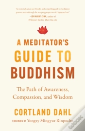 Capa do artigo Meditator